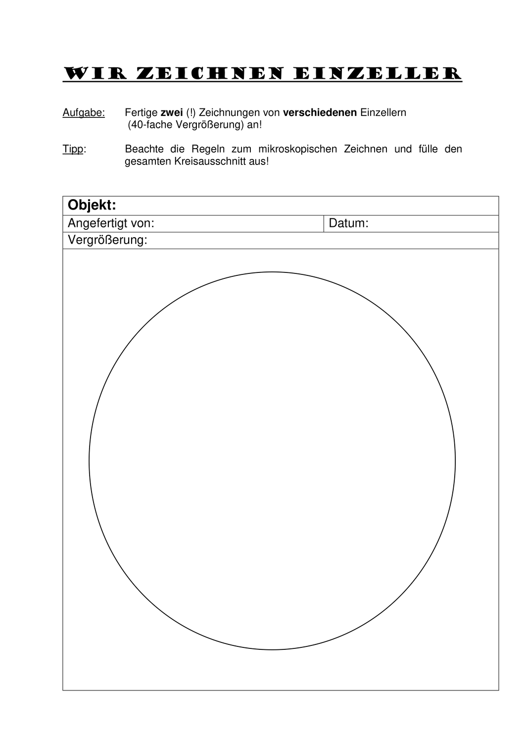 Mikroskopische Zeichnung Vorlage