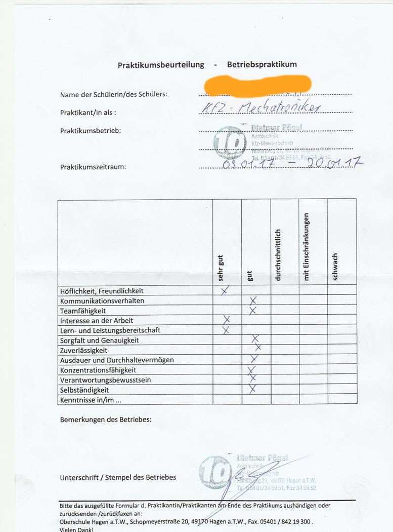 W Seminararbeit Beispiel